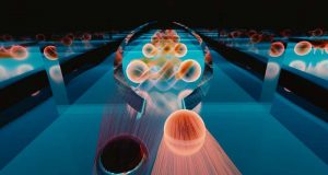 Perfect quantum portal emerges at exotic interface
