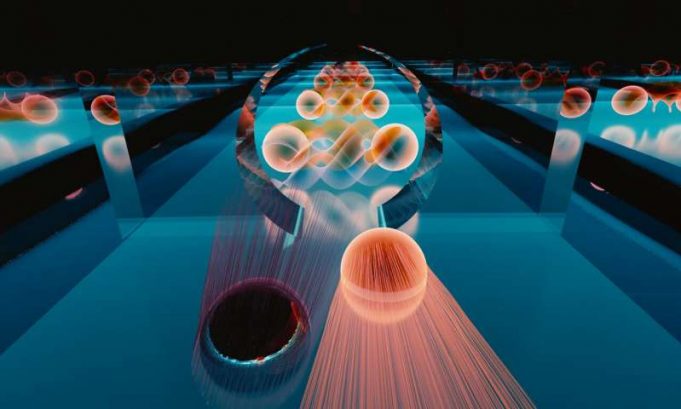 Perfect quantum portal emerges at exotic interface Perfect quantum portal emerges at exotic interface