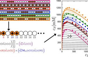 Researchers can now predict properties of disordered polymers Researchers can now predict properties of disordered polymers