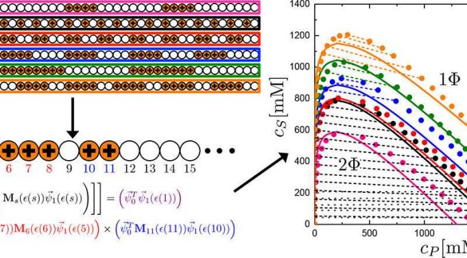 Researchers can now predict properties of disordered polymers Researchers can now predict properties of disordered polymers