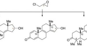 Researchers develop breakthrough process to create cancer killing drugs