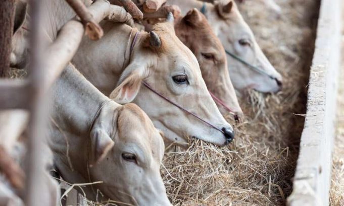 Rising methane may thwart efforts to avoid catastrophic climate change Rising methane may thwart efforts to avoid catastrophic climate change