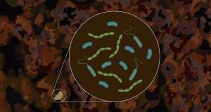Scientists hit pay dirt with new microbial research technique