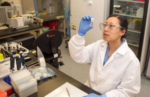 Study finds any single hair from the human body can be used for identification Study finds any single hair from the human body can be used for identification