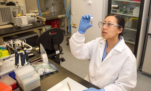 Study finds any single hair from the human body can be used for identification Study finds any single hair from the human body can be used for identification