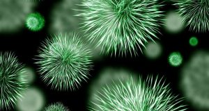The solution to antibiotic resistance could be in your kitchen sponge