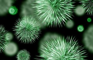 The solution to antibiotic resistance could be in your kitchen sponge The solution to antibiotic resistance could be in your kitchen sponge