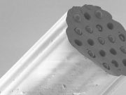 Tiny probe that senses deep in the lung set to shed light on disease