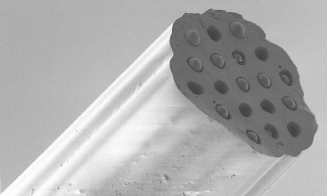 Tiny probe that senses deep in the lung set to shed light on disease