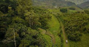 Tropical soil disturbance could be hidden source of CO2