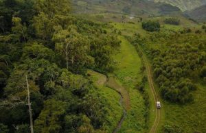 Tropical soil disturbance could be hidden source of CO2 Tropical soil disturbance could be hidden source of CO2