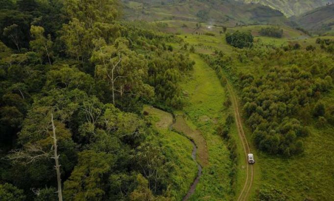 Tropical soil disturbance could be hidden source of CO2