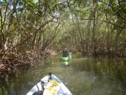 Two hours a week is key dose of nature for health and wellbeing