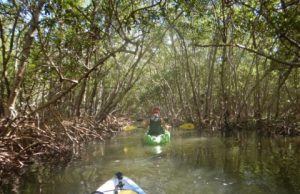 Two hours a week is key dose of nature for health and wellbeing Two hours a week is key dose of nature for health and wellbeing