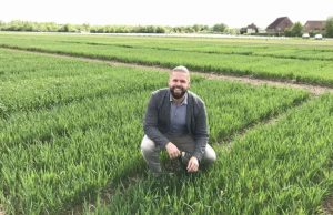 Wheat myth debunked by a major new study Wheat myth debunked by a major new study