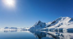 cropped Antarctic marine life recovery following the dinosaurs extinction