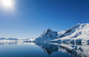 Antarctic marine life recovery following the dinosaurs’ extinction cropped Antarctic marine life recovery following the dinosaurs extinction