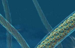 Found: A sweet way to make everyday things almost indestructible cropped Found A sweet way to make everyday things almost indestructible