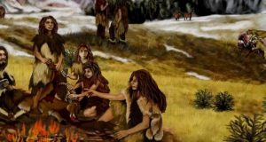 cropped Neanderthals used resin glue to craft their stone tools