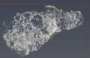 New research identifies Fukushima reactor material in environment cropped New research identifies Fukushima reactor material in environment