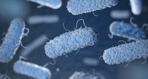 cropped New therapy targets gut bacteria to prevent and reverse food allergies