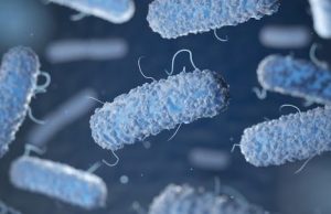 New therapy targets gut bacteria to prevent and reverse food allergies cropped New therapy targets gut bacteria to prevent and reverse food allergies