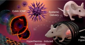 cropped Researchers reach milestone in use of nanoparticles to kill cancer with heat