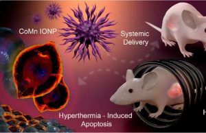 Researchers reach milestone in use of nanoparticles to kill cancer with heat cropped Researchers reach milestone in use of nanoparticles to kill cancer with heat