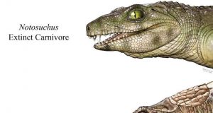 cropped Some extinct crocs were vegetarians