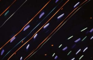 The fundamental physics of frequency combs sheds light on nature’s problem-solving skills cropped The fundamental physics of frequency combs sheds light on natures problem solving skills