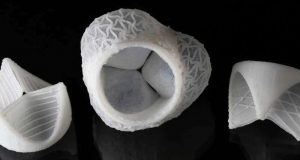 3 D printed custom silicon heart valves
