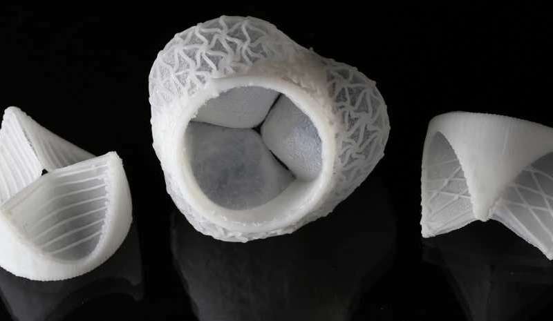 3 D printed custom silicon heart valves