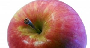 An apple carries about 100 million bacteria—good luck washing them off