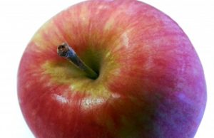 An apple carries about 100 million bacteria—good luck washing them off An apple carries about 100 million bacteria—good luck washing them off