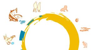 Live fast and die young or play the long game Scientists map 121 animal life cycles
