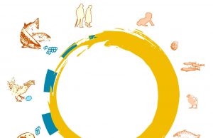 Live fast and die young, or play the long game? Scientists map 121 animal life cycles Live fast and die young or play the long game Scientists map 121 animal life cycles