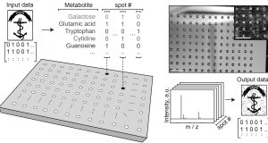 Molecular thumb drives Researchers store digital images in metabolite molecules