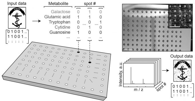 Molecular thumb drives Researchers store digital images in metabolite molecules