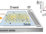 Unconventional phenomena triggered by acoustic waves in 2 D materials