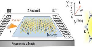Unconventional phenomena triggered by acoustic waves in 2 D materials