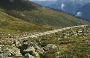 Altitude record for porcini mushrooms cropped Altitude record for porcini mushrooms