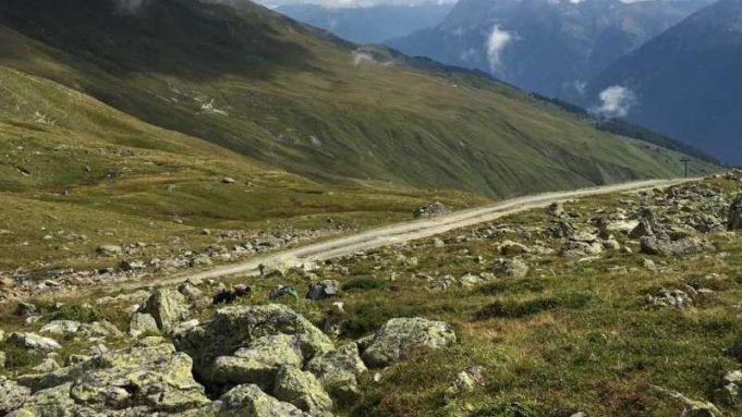 Altitude record for porcini mushrooms cropped Altitude record for porcini mushrooms