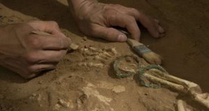 cropped Ancient DNA sheds light on the origins of the Biblical Philistines