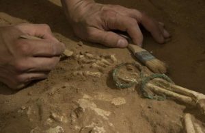 Ancient DNA sheds light on the origins of the Biblical Philistines cropped Ancient DNA sheds light on the origins of the Biblical Philistines