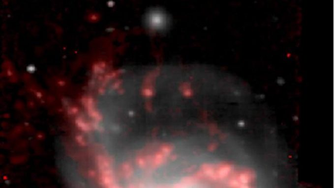 Black hole brings down curtain on jellyfish galaxy’s star turn cropped Black hole brings down curtain on jellyfish galaxys star turn