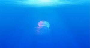 cropped Breaching a carbon threshold could lead to mass extinction