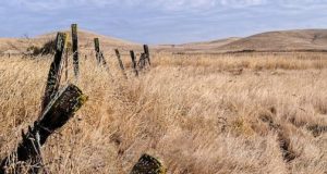 cropped Climate change could revive medieval megadroughts in US Southwest