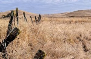 Climate change could revive medieval megadroughts in US Southwest cropped Climate change could revive medieval megadroughts in US Southwest