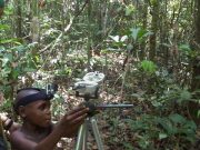 cropped Finding ones way in the rainforest