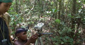 cropped Finding ones way in the rainforest
